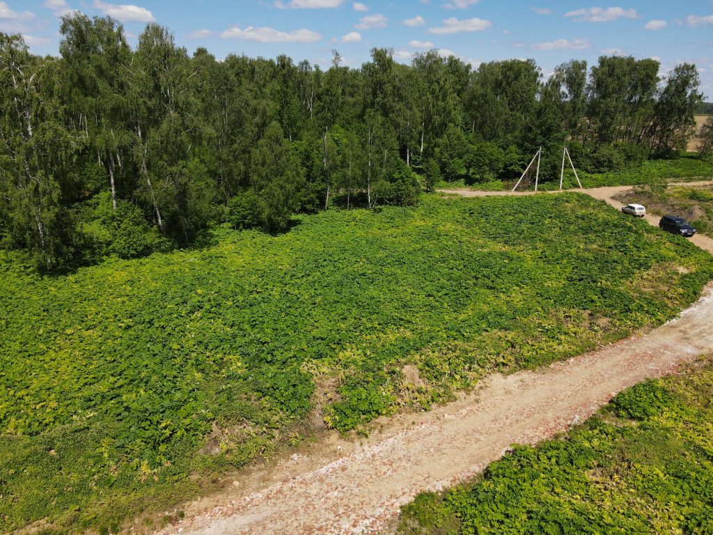 Photo_1080295691_DJI_267_jpg_9405153_0_202162115722_photo_original